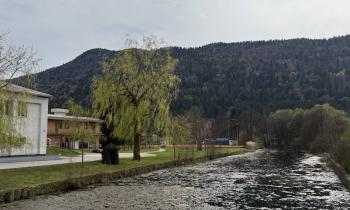 V Kočevju in okolici bodo zasadili več kot 90 dreves in grmov, kje...