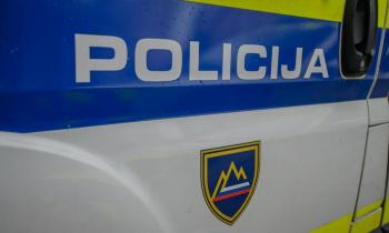 Tatvina na Kočevskem, lastnik ob 10.000 evrov