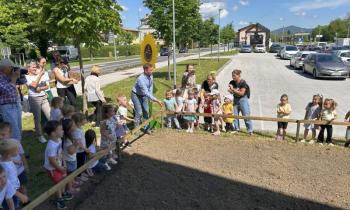 V Kočevju so medovite sončnice sejale kar čebelice