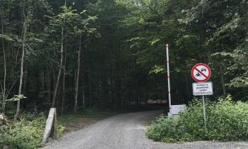 Na tej cesti bodo motorna vozila kmalu le še izjema